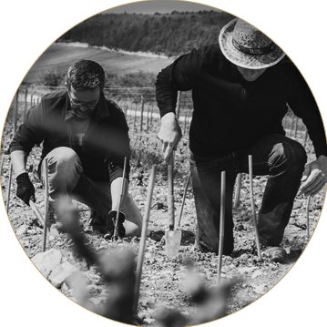 Arnaud de Cheurlin Champagne