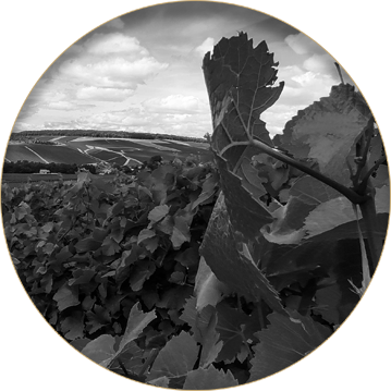Arnaud de Cheurlin Champagne